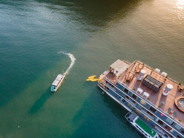 Comment découvrir les traditions de la cuisine créole en Martinique?
